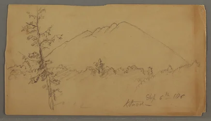 Ritning, berg Katahdin, skog, träd i förgrunden